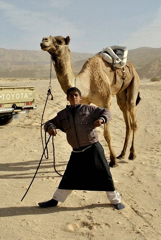 Camel Race, а еще, как не спешить по-бедуински (38 фото)