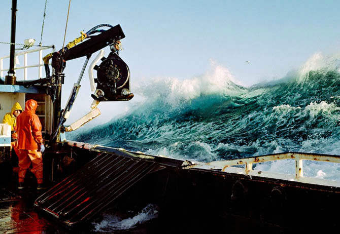 Добыча краба, трески и палтуса в Беринговом море (37 фото)
