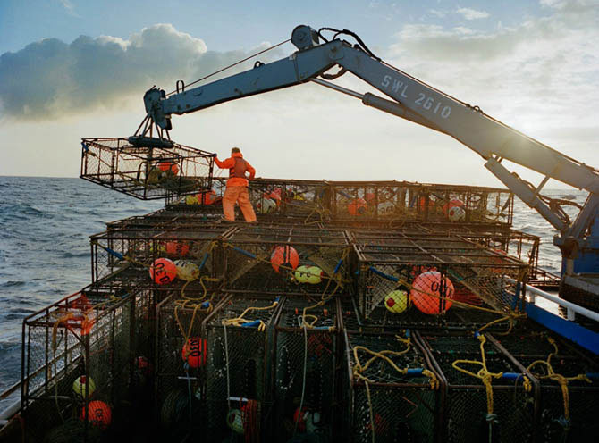Добыча краба, трески и палтуса в Беринговом море (37 фото)