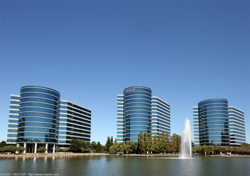 Oracle — одна из крупнейших американских компаний, разработчик систем управления базами данных, инструментов для разработки баз данных, а также ERP-систем