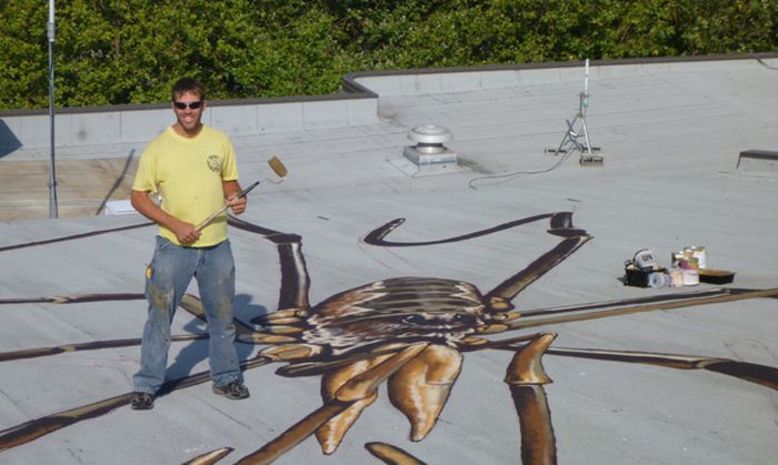 Огромные пауки на крыше (4 фото)